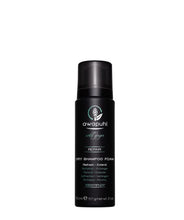 Load image into Gallery viewer, John Paul Mitchell Systems Awapuhi Wild Ginger Dry Shampoo Foam
