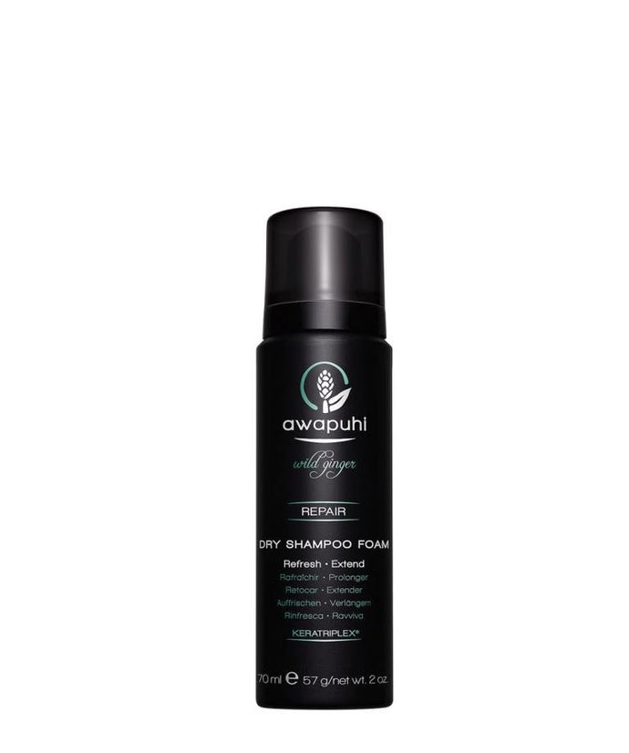 John Paul Mitchell Systems Awapuhi Wild Ginger Dry Shampoo Foam