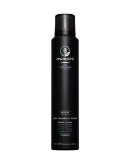 John Paul Mitchell Systems Awapuhi Wild Ginger Dry Shampoo Foam